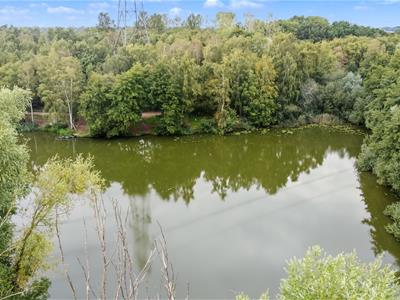Picture 28